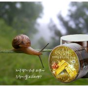 new-gold-snail-300g-pack-soothing-massage-korean-cosmetics-dec
